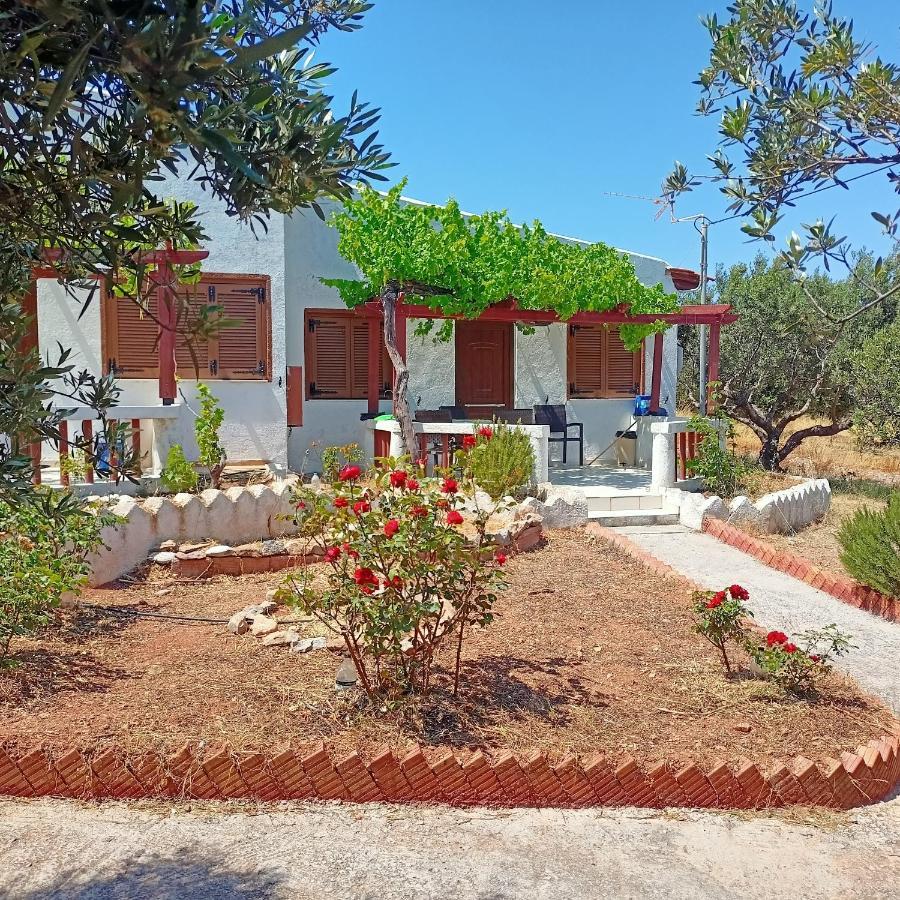 Sunrise Apartments Palekastro Bagian luar foto