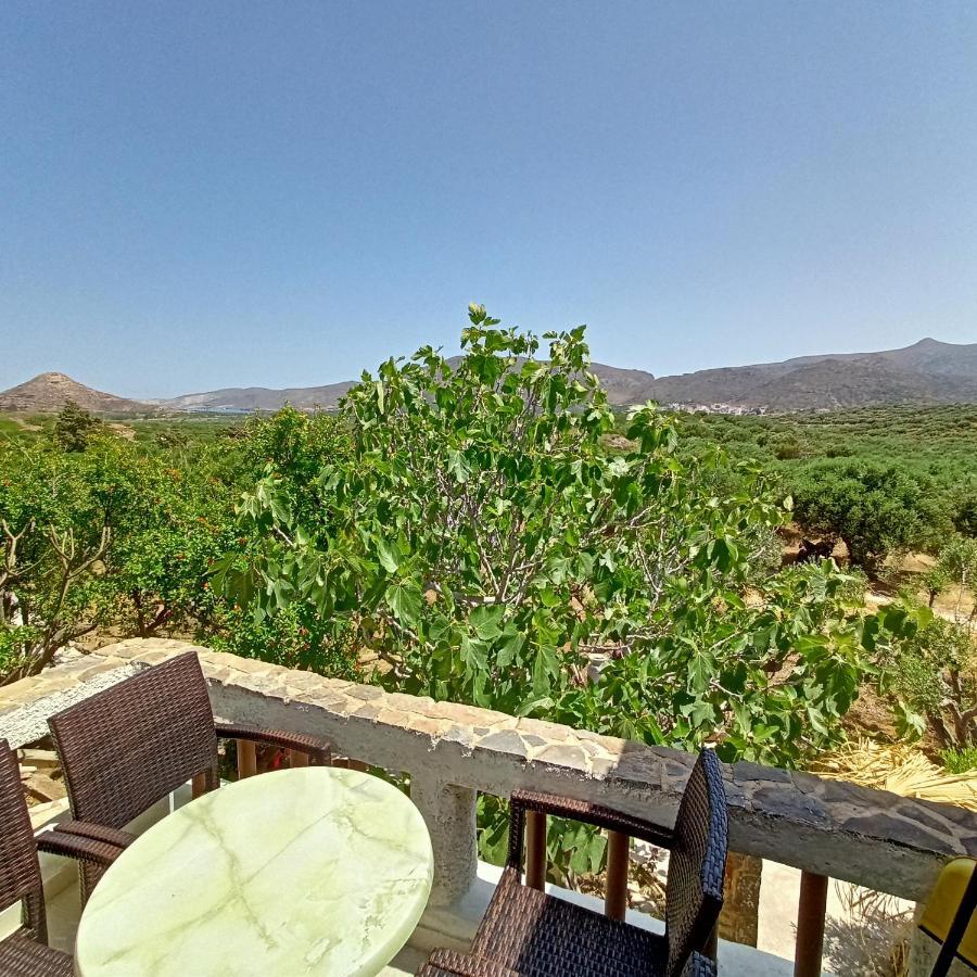 Sunrise Apartments Palekastro Bagian luar foto